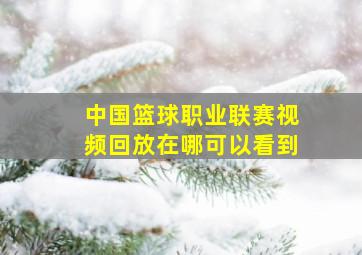 中国篮球职业联赛视频回放在哪可以看到