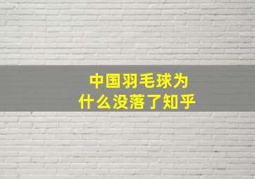 中国羽毛球为什么没落了知乎