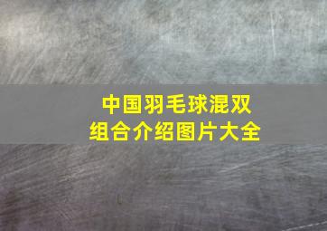 中国羽毛球混双组合介绍图片大全