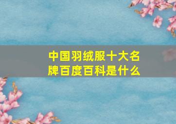 中国羽绒服十大名牌百度百科是什么