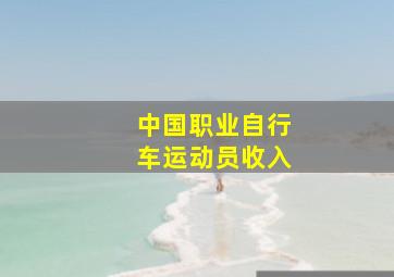 中国职业自行车运动员收入