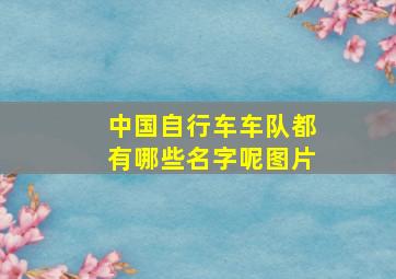 中国自行车车队都有哪些名字呢图片