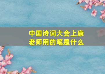 中国诗词大会上康老师用的笔是什么