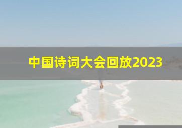 中国诗词大会回放2023