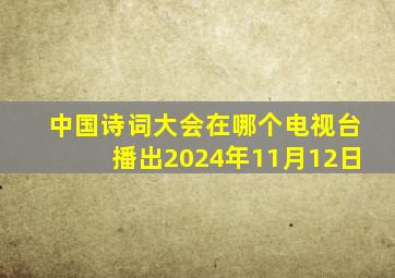 中国诗词大会在哪个电视台播出2024年11月12日