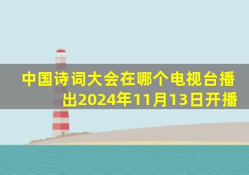 中国诗词大会在哪个电视台播出2024年11月13日开播