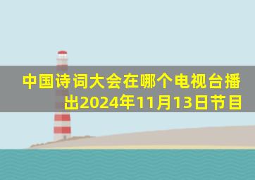 中国诗词大会在哪个电视台播出2024年11月13日节目