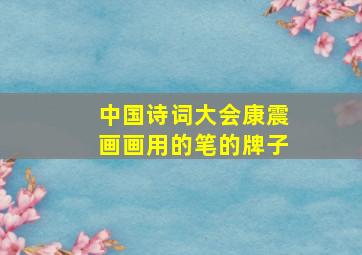 中国诗词大会康震画画用的笔的牌子