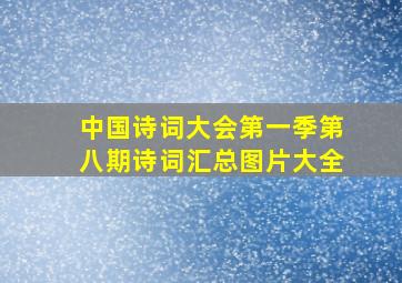 中国诗词大会第一季第八期诗词汇总图片大全