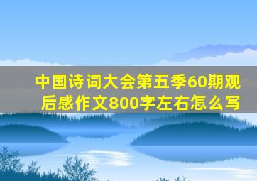 中国诗词大会第五季60期观后感作文800字左右怎么写