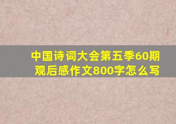 中国诗词大会第五季60期观后感作文800字怎么写