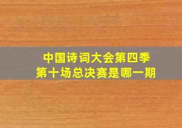 中国诗词大会第四季第十场总决赛是哪一期