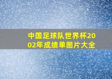 中国足球队世界杯2002年成绩单图片大全