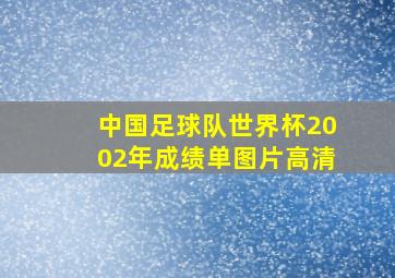 中国足球队世界杯2002年成绩单图片高清