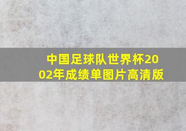 中国足球队世界杯2002年成绩单图片高清版