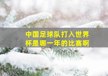 中国足球队打入世界杯是哪一年的比赛啊