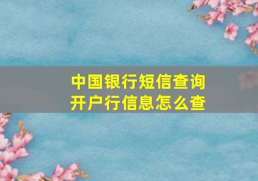 中国银行短信查询开户行信息怎么查