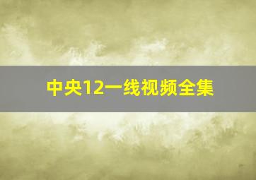 中央12一线视频全集