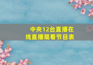 中央12台直播在线直播观看节目表