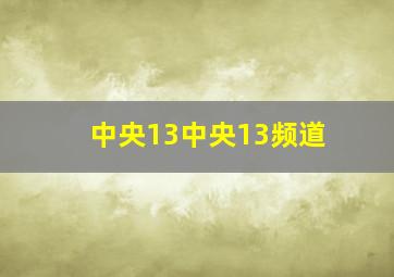 中央13中央13频道