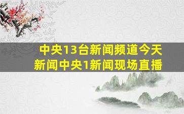 中央13台新闻频道今天新闻中央1新闻现场直播