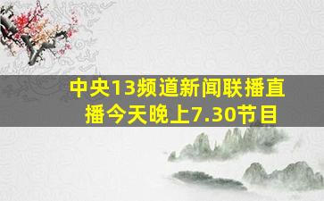 中央13频道新闻联播直播今天晚上7.30节目