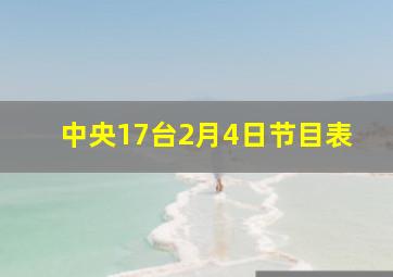 中央17台2月4日节目表