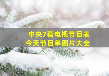 中央7套电视节目表今天节目单图片大全