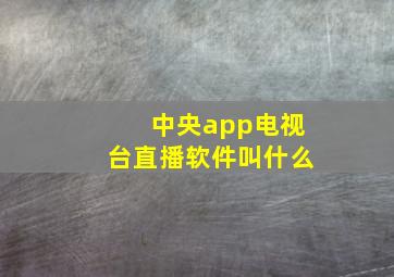 中央app电视台直播软件叫什么