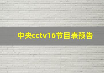 中央cctv16节目表预告