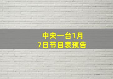 中央一台1月7日节目表预告