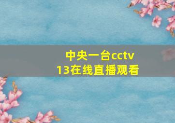 中央一台cctv13在线直播观看