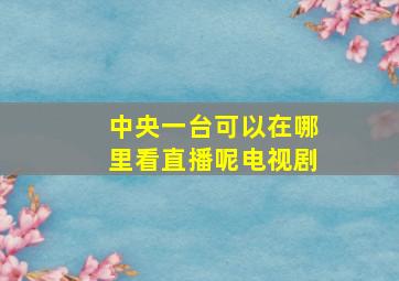 中央一台可以在哪里看直播呢电视剧