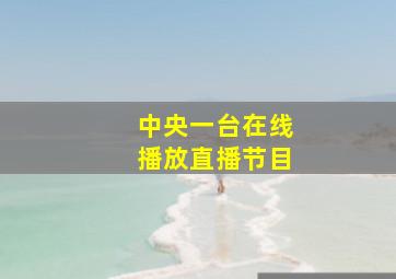 中央一台在线播放直播节目