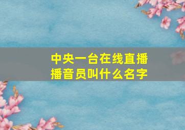 中央一台在线直播播音员叫什么名字