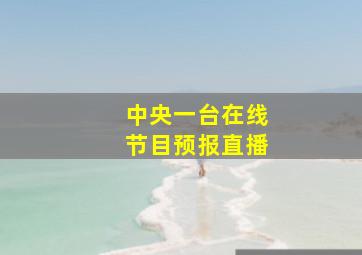 中央一台在线节目预报直播