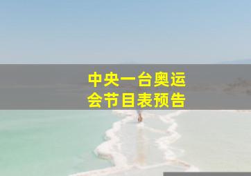 中央一台奥运会节目表预告