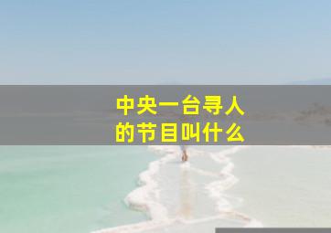 中央一台寻人的节目叫什么