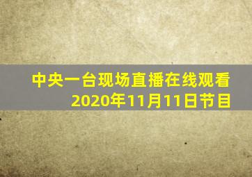 中央一台现场直播在线观看2020年11月11日节目