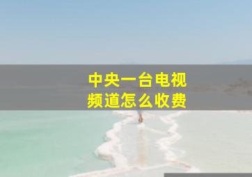 中央一台电视频道怎么收费