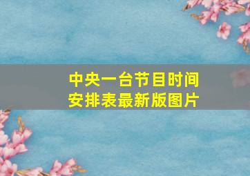 中央一台节目时间安排表最新版图片