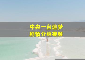 中央一台追梦剧情介绍视频