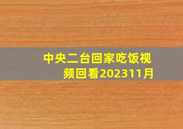 中央二台回家吃饭视频回看202311月