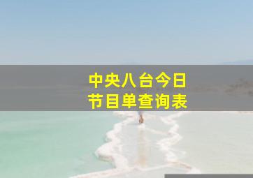 中央八台今日节目单查询表