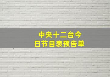 中央十二台今日节目表预告单