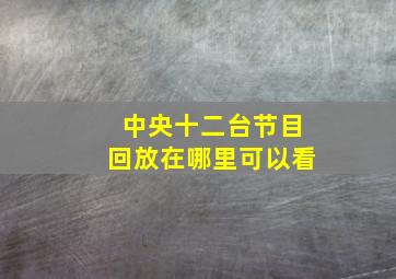 中央十二台节目回放在哪里可以看