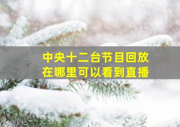 中央十二台节目回放在哪里可以看到直播