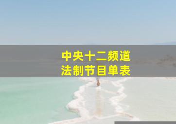 中央十二频道法制节目单表