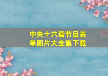 中央十六套节目表单图片大全集下载