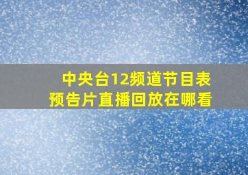 中央台12频道节目表预告片直播回放在哪看